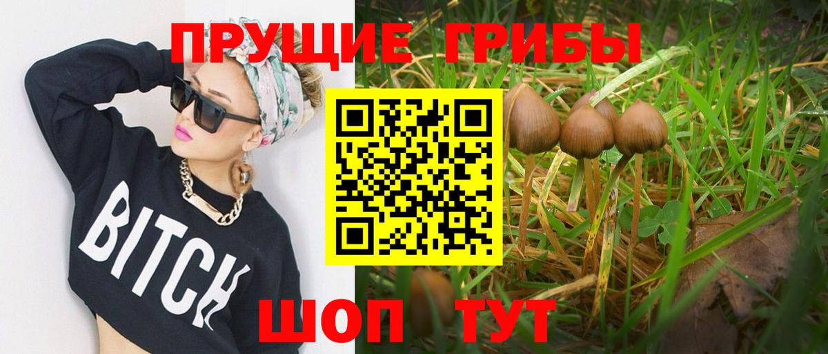 Псилоцибиновые грибы Cubensis  Вход с VPN  Домодедово  Псилоцибиновые грибы GOLDEN TEACHER 